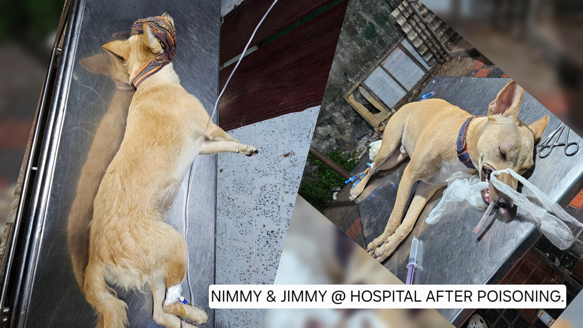 @ Dr Unnikrishnan Vet Hospital changanacherry